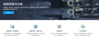 大數(shù)據(jù)時(shí)代的數(shù)據(jù)基石 數(shù)據(jù)庫解決方案與處理存儲(chǔ)支持服務(wù)探析